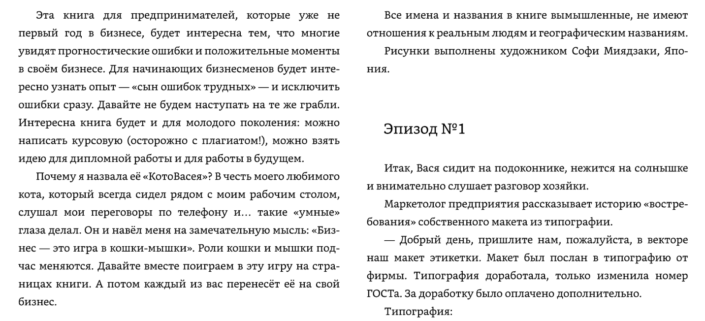 КотоВасея в бизнесе | Васса Коробова — изображение 3